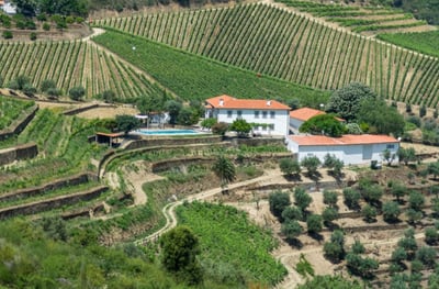Luxury Villa Photo #2