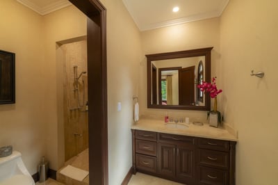 Luxury Villa Photo #52