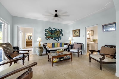 Luxury Villa Photo #19