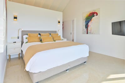 Luxury Villa Photo #41