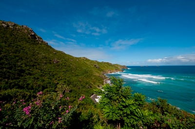 Luxury Villa Photo #7