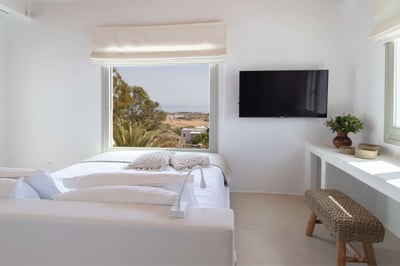 Luxury Villa Photo #49
