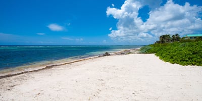 Luxury Villa Photo #6