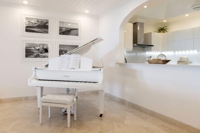 Luxury Villa Photo #6