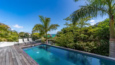Pool & Terrace