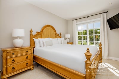 Luxury Villa Photo #34