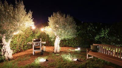 By Night