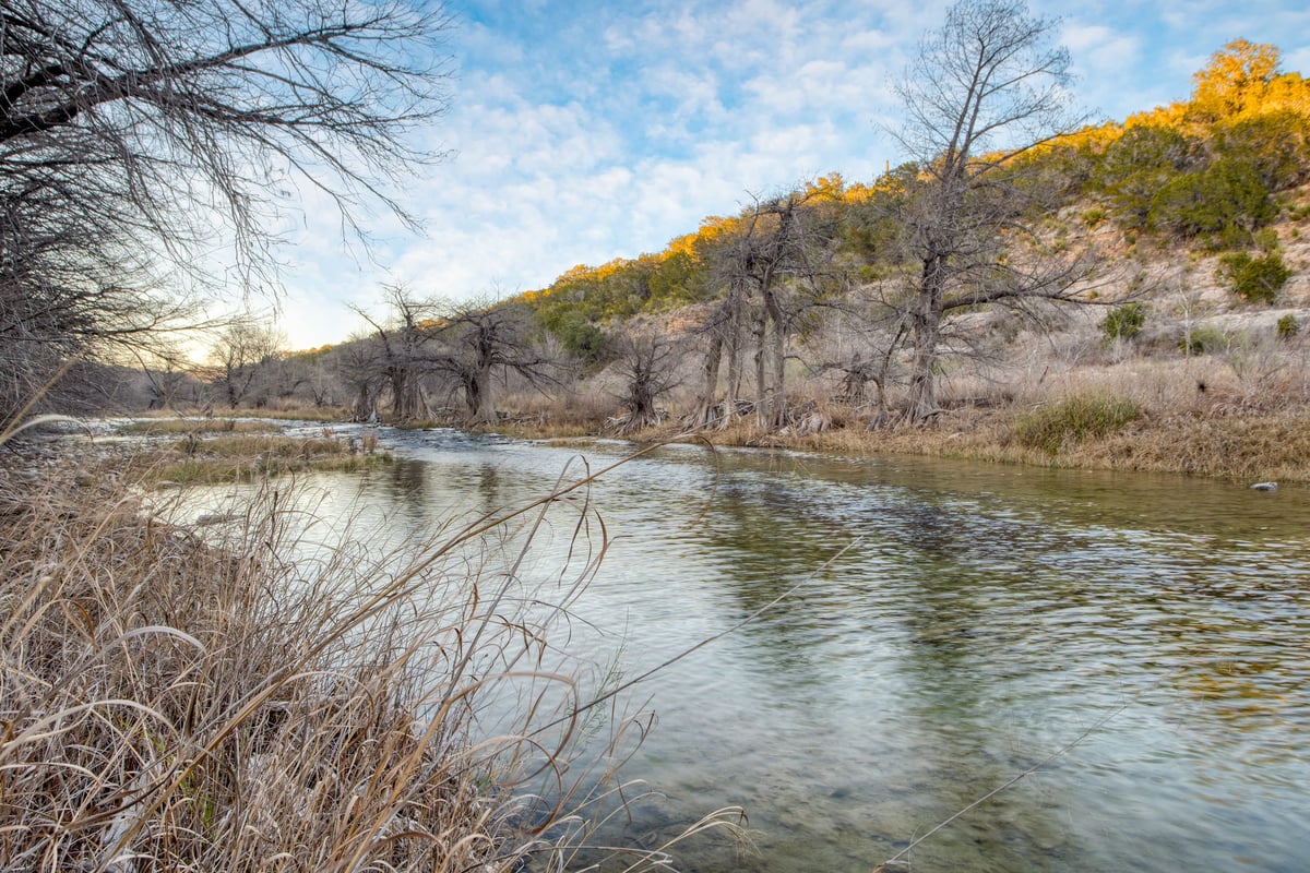 Desert Bloom Bungalow