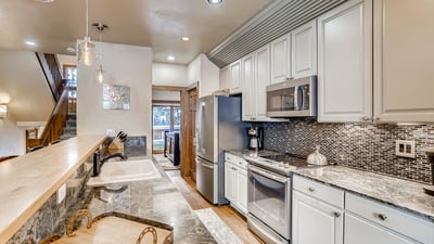 Gourmet kitchen