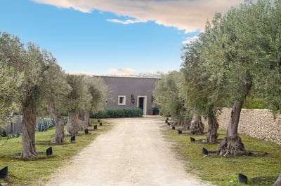Luxury Villa Photo #42