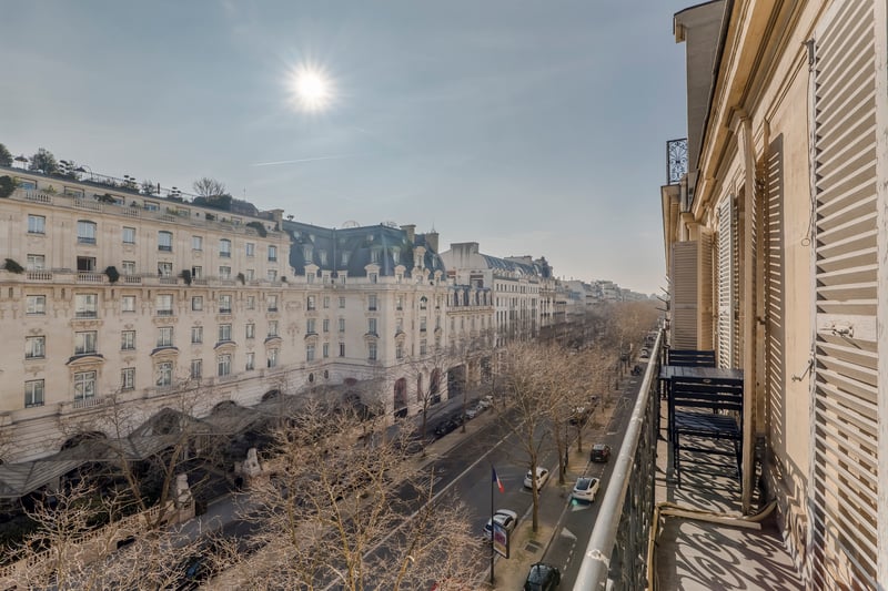 The Parisian Beauty