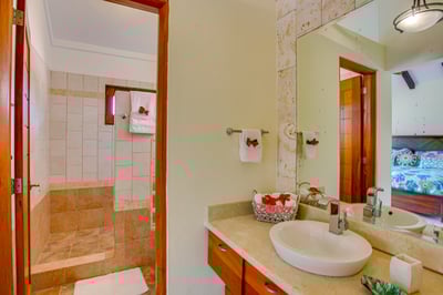 Luxury Villa Photo #40