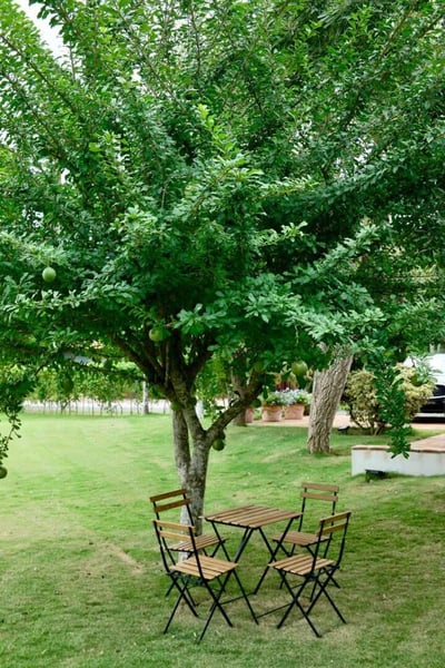 Luxury Villa Photo #9