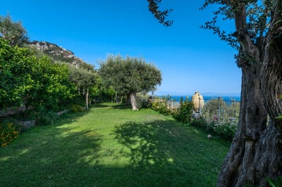 Luxury Villa Photo #9