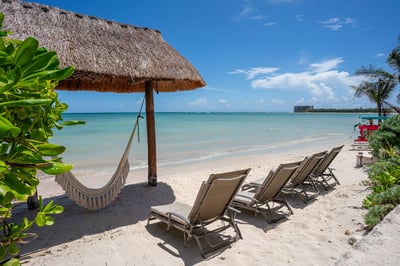 Luxury Villa Photo #6