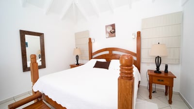 Luxury Villa Photo #18