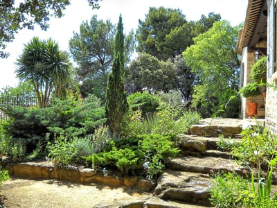 Luxury Villa Photo #13