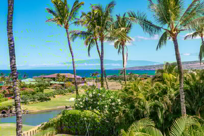 Luxury Villa Photo #3