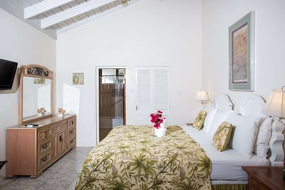 Luxury Villa Photo #36