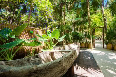 Luxury Villa Photo #5
