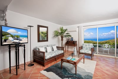 Luxury Villa Photo #29