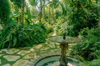 Luxury Villa Photo #10
