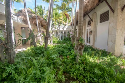 Luxury Villa Photo #6