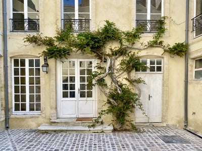 Luxury Villa Photo #34