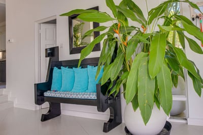 Luxury Villa Photo #23