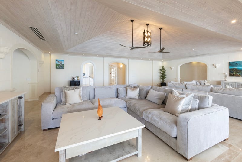 Old Trees 302 | La Mirage