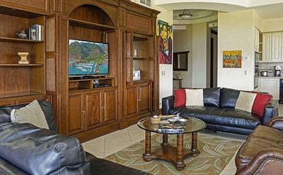 Luxury Villa Photo #4