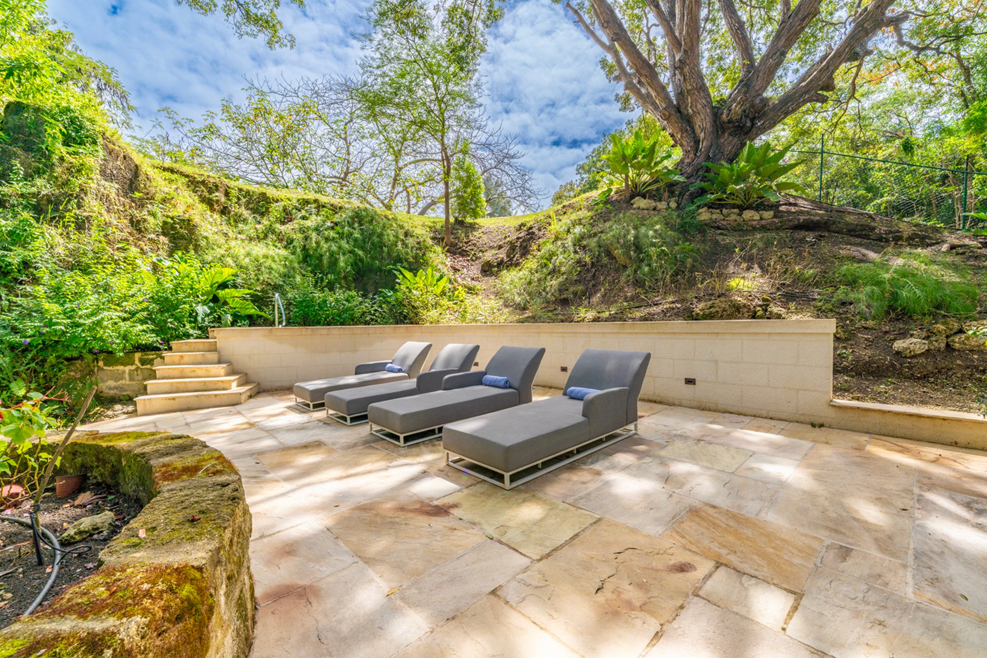 Parnassus Cottage - 3