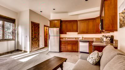 Apartment living room and kitchen