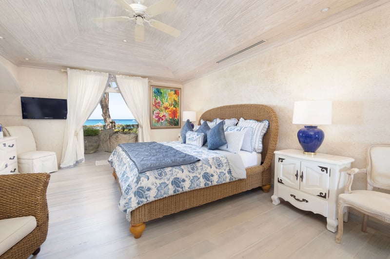 Old Trees 2 | Azzurro