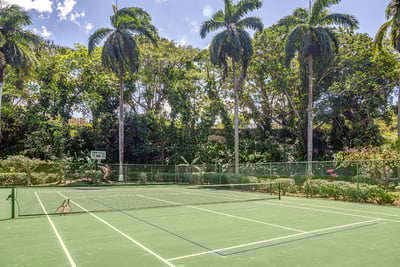 Luxury Villa Photo #38