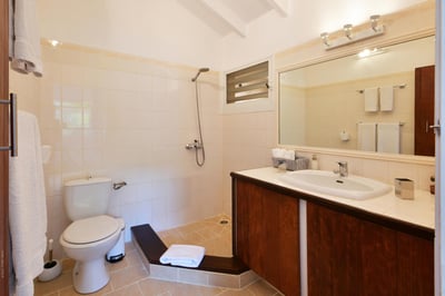 Luxury Villa Photo #38