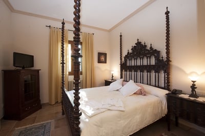Luxury Villa Photo #46