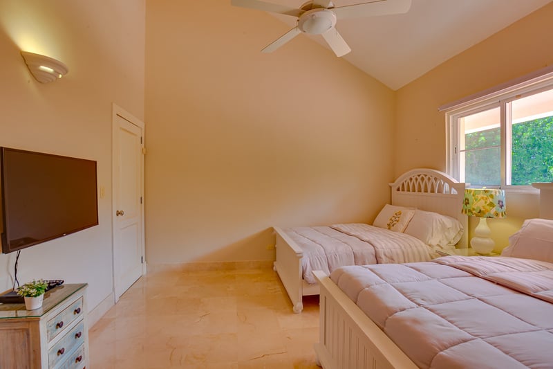 Tortuga B48 | Marcela