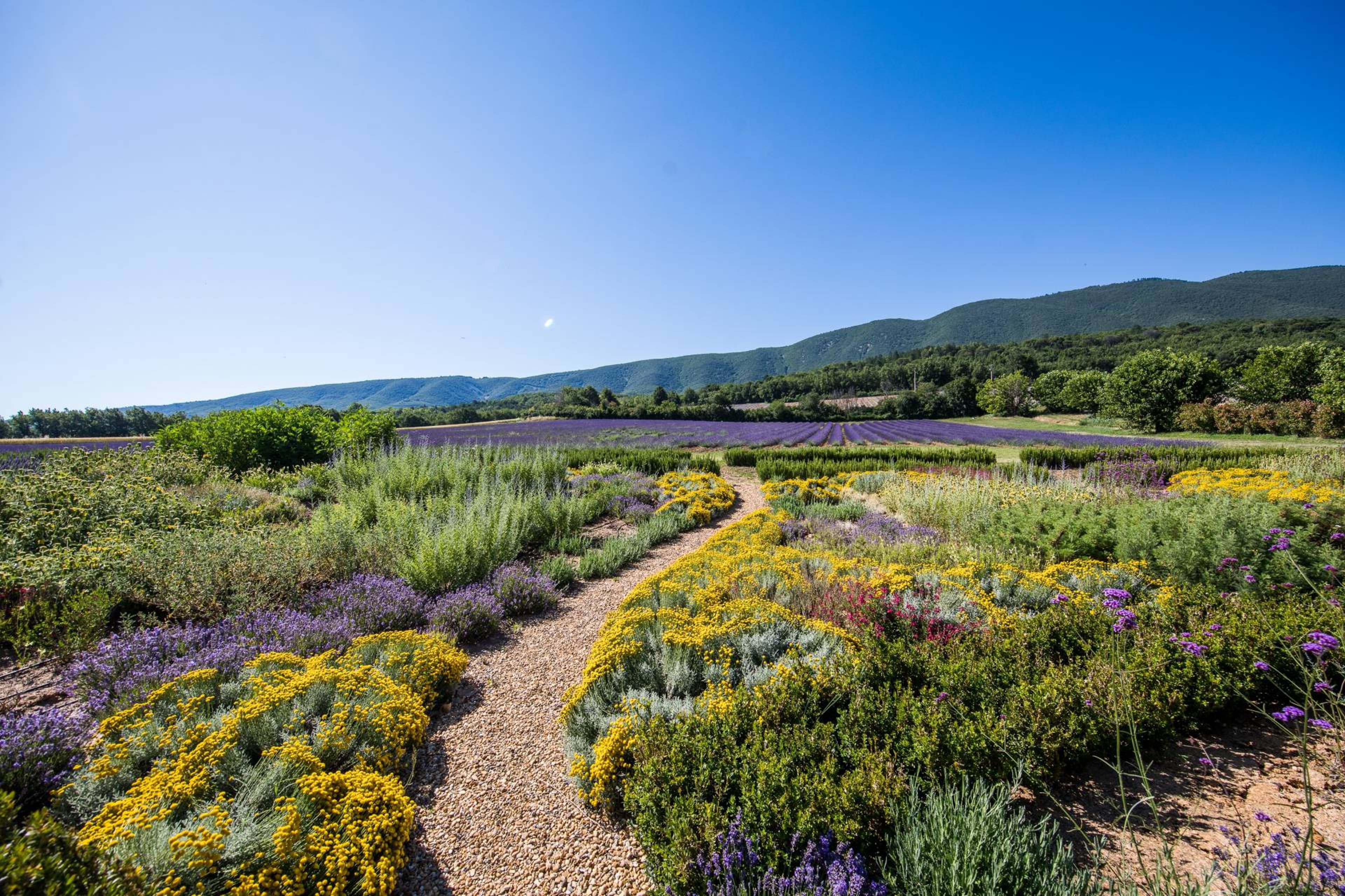 Bastide de St. Martin - 9