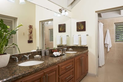 Luxury Villa Photo #16