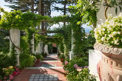 Luxury Villa Photo #9