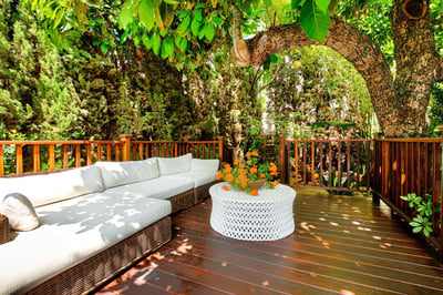 West Hollywood,Olive Branch