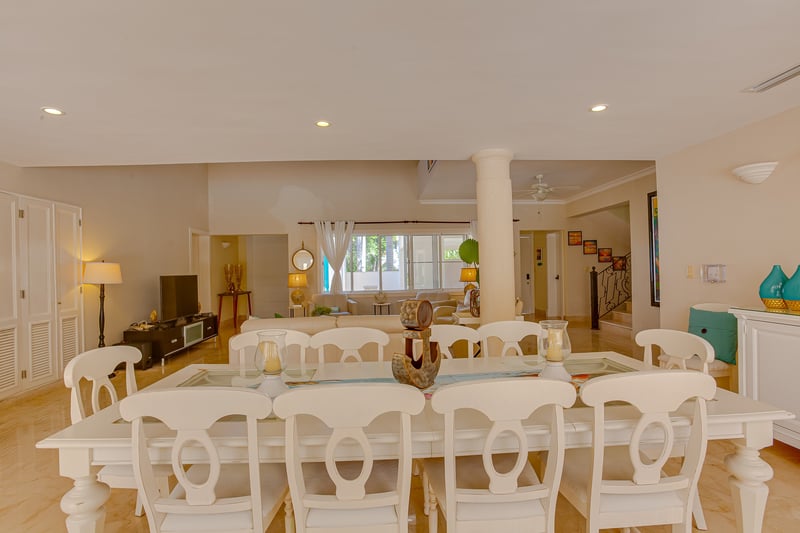 Tortuga B48 | Marcela