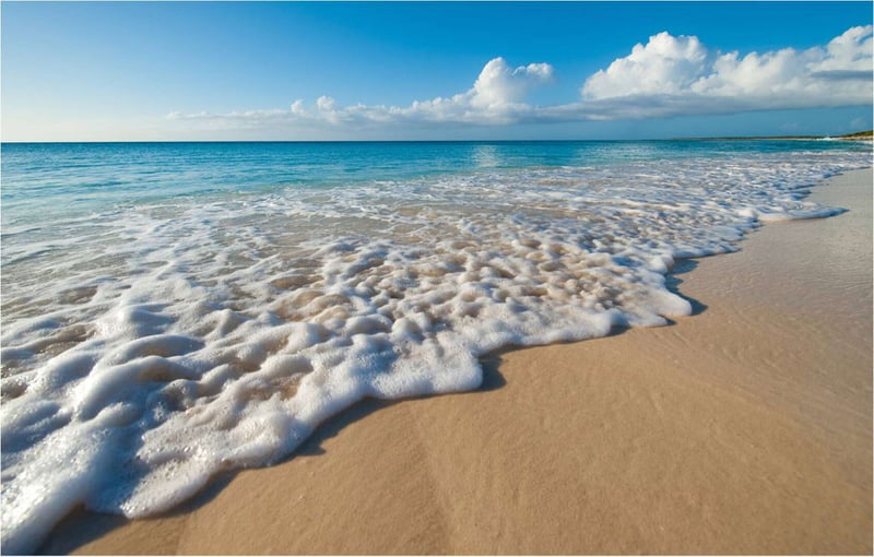 Estate 5 BDM Beach Level Pool Residence