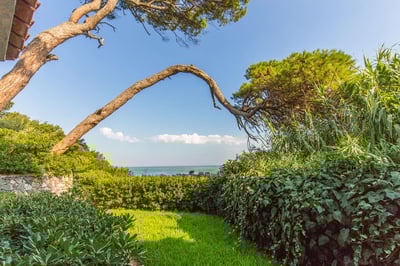 Luxury Villa Photo #12