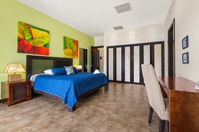 Luxury Villa Photo #42