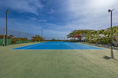Luxury Villa Photo #15