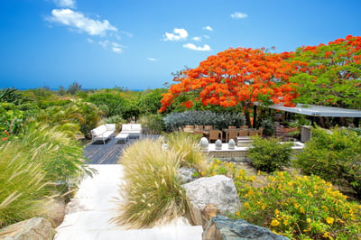 Luxury Villa Photo #7