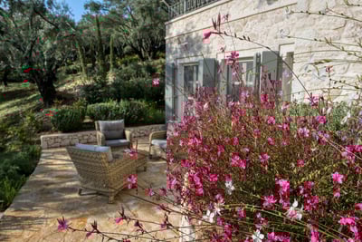 Luxury Villa Photo #14