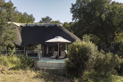 Ulusaba,River Room with Plunge Pool at the Safari Lodge